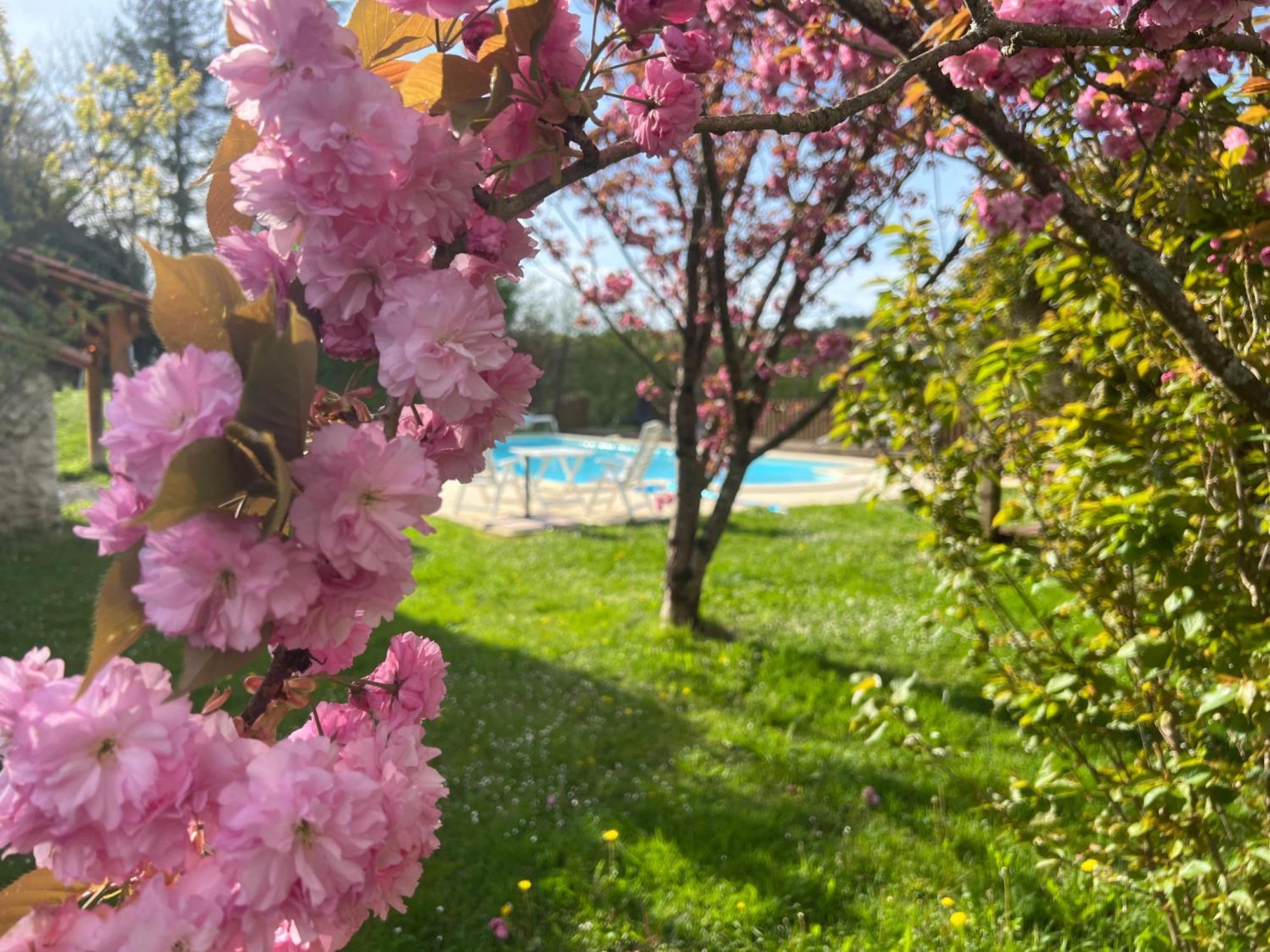 Entire Apartment With Swimming Pool Near Aubeterre Saint-Romain  Eksteriør bilde